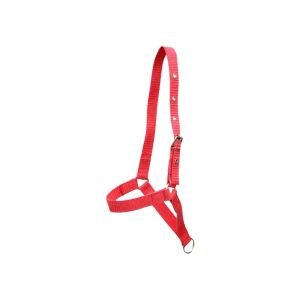 Cabresto Fita para Vaca e Boi Artecouro